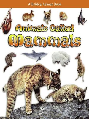 cover image of Animals Called Mammals